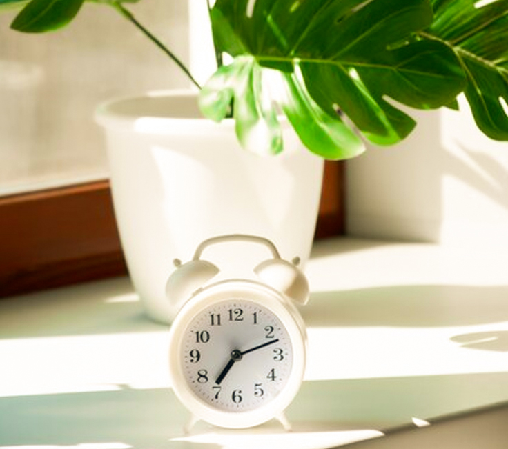 atendimento-psicologia-online-horas